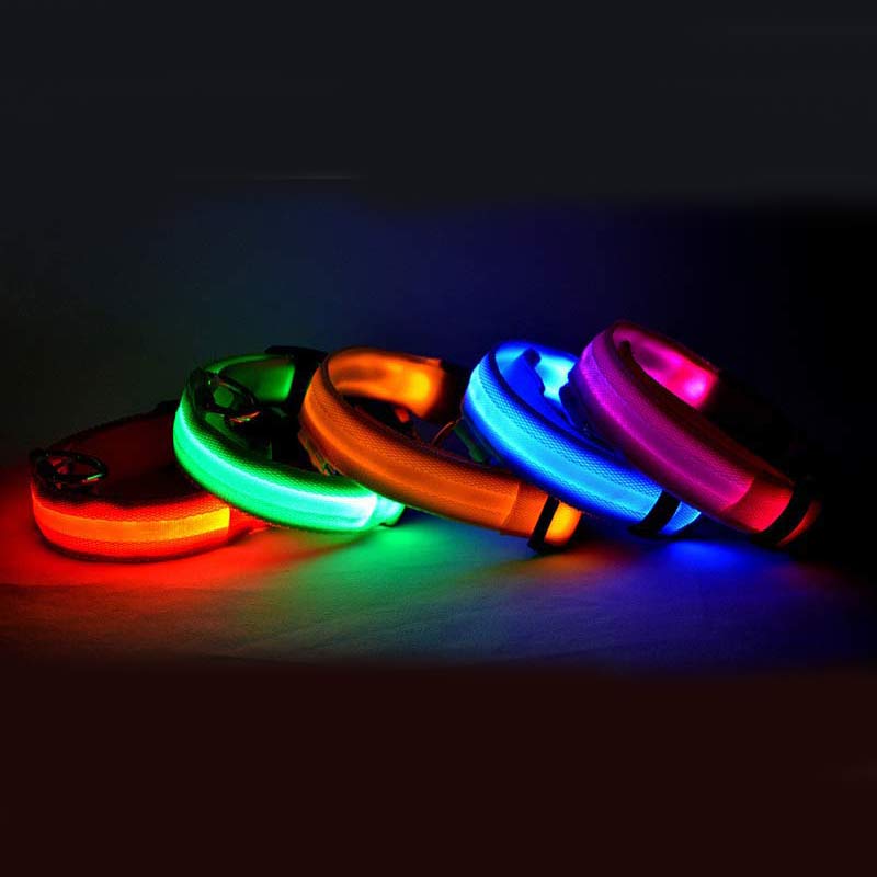 GlowPup LED dog collars illuminated in multiple colours