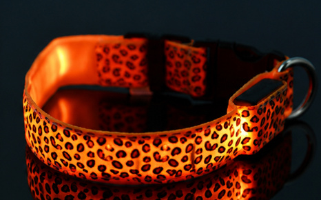 Orange illuminated leopard-pattern LED dog collar