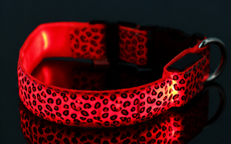 Red illuminated leopard-pattern LED dog collar