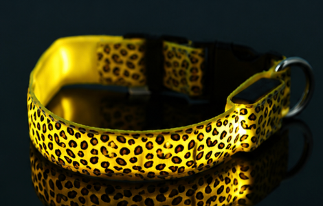 Yellow illuminated leopard-pattern LED dog collar