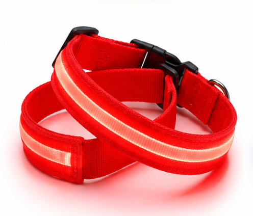 Red rechargeable GlowPup LED dog collars on a white background