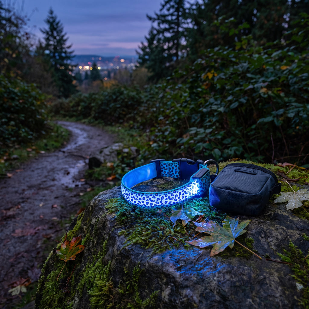 Blue leopard-pattern GlowPup LED safety collar displayed outdoors