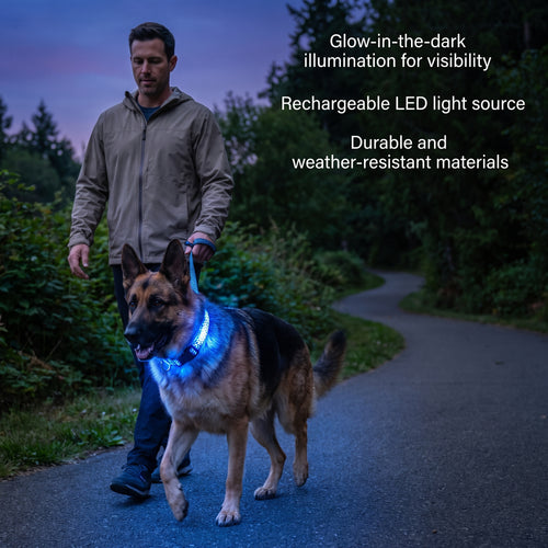 Dog wearing a blue leopard-pattern GlowPup LED safety collar on an evening walk