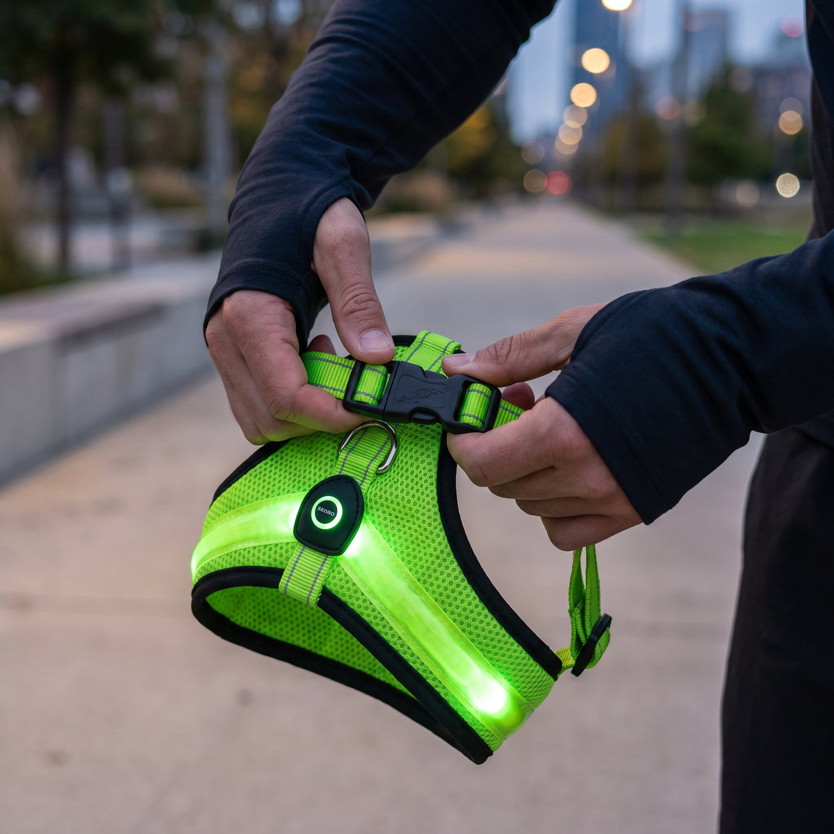 Hands fastening the buckle on a green GlowPup LED dog harness